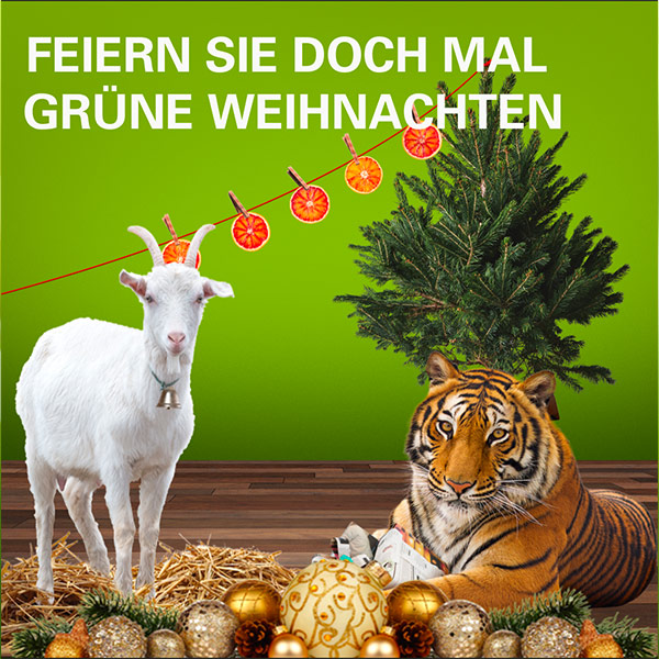 Feiern Sie doch mal grüne Weihnachten